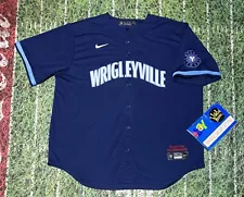 Nike mlb Chicago Cubs City Connect Baseball Jersey "Wrigleyville" 9 baez 8282