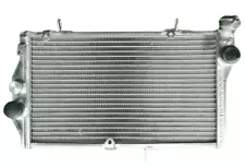 Fit Honda CBR1100XX Super Blackbird Fuel Injected 1997-2003 Aluminum Radiator (For: Honda)