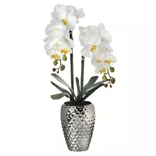 Phalaenopsis Orchid In Hammer Silver Pot 24" White