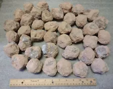 Bulk Wholesale 15 Lbs Mine Run Sonora Crystal Geodes & Nodules, 2-2.25" Diameter