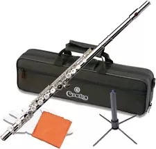 Cecilio Closed Hole C Flute for Kids & Beginner/Intermediate -Nickel-