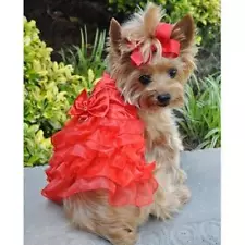 Clearance Sale Red Satin & Lace Dog Dress Matching Leash Doggie Design -S-M-L