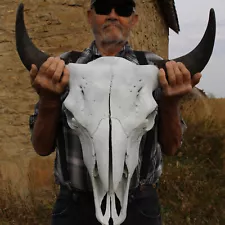 Buffalo Bison Head Skull Horns