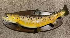 22” Brown Trout Taxidermy Mount 25” Total Including The Mount