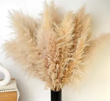 3 pieces Tall Pampas Grass Stems in Natural Beige, Add a Boho Touch to Your Sp