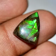 05.85 Carat NATURAL GREEN RED A+ AMMOLITE Freeform Finished Gemstone 12 x 15 MM