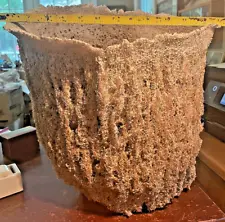Extra Large Barrel Sponge Huge Natural Sea Vase Original Tarpon Springs FL 38"