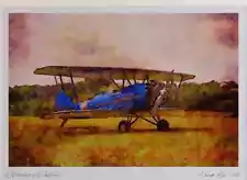 360086 Waco Taperwing 1929 Oshkosh WI Limited Edition Watercolour Print