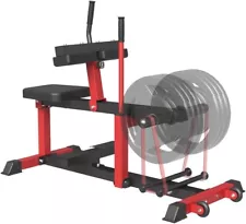 used seated calf raise machine for sale