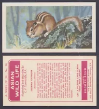 Asian Wild Life (Brooke Bond 1963 - Rhodesia) #16 Siberian Chipmunk