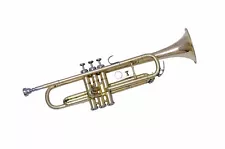 SUPER SALE !! Bb Trumpet Brand New Brass Finish Bb Trumpet With Free Case+M/P