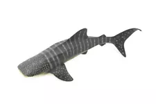 Whale Shark, Realistic Hand Painted Figure, Figurine, Replica, 8" CH276 BB125