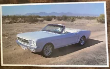 Book Clipping Photo 1964 1/2 Mustang Convertible