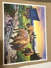 Phish Poster 2003 Utah Christopher Peterson Signed Numbered LImited Print