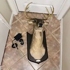 Vintage ‘05 “Buck The Singing And Talking Deer Head” W/ Power Cord. Wall Mount.