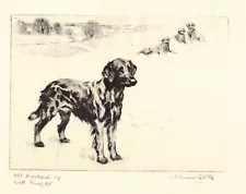 Antique Flat Coated Retriever Print Vernon Stokes Hunting Dog Art Print 4779e