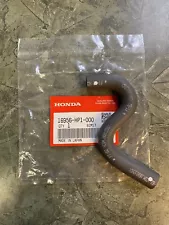 2004-2005 Honda TRX450R Fuel Tube, Gas Hose OEM Honda 16956-HP1-000