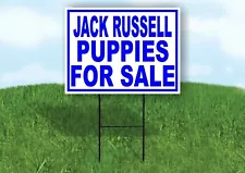 jack russell puppies for sale in san antonio texas