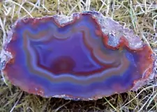 JVC - Nice Condor Agate Polished nodule