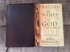 The Names of God Bible, God's Word Translation, Hebrew Cover, Brown + Extra