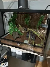 Reptile Glass Terrarium Tank 34G 24x18x18 Just Built