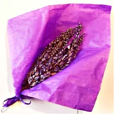 2 Dried Purple Wisteria Bouquets