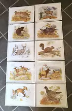 VTG Lot Of 21- Wildlife Prints By Artist Dale C. Thompson, Each Is 17" x 12"