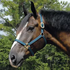 Arabian Halter-horse #16A