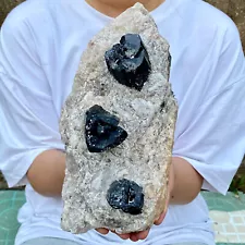 6.4LB Natural black tourmaline and quartzite symbiotic mineral specimens Healing