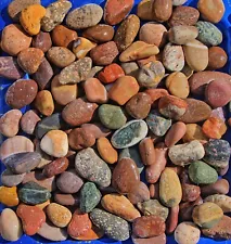 30 lbs Lot #1 Extra Small Colorful River Rocks Water Feature Aquarium Decorative