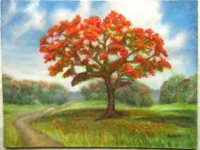 Original Oil Pastel Painting Art Florida Landscape Royal Poinciana Tree Garden