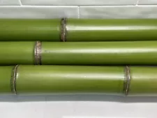 yellow groove bamboo for sale