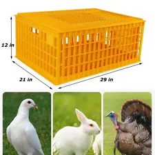 plastic chicken crates for sale