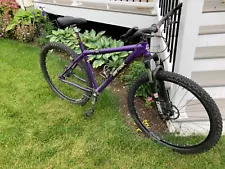 Gary Fisher Rig 29er single speed mountain bike