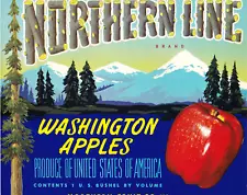 ORIGINAL VINTAGE FRUIT CRATE LABEL, NORTHERN LINE BRAND APPLES, WENATCHEE, WASH