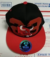 Chicago Bulls Lot Of 2 Hats - Special Sale