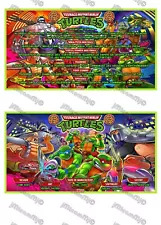 2020 Stern Ninja Turtles TMNT FRENCH Cards Instructions Pinball Custom Pinball