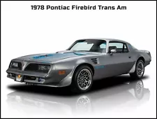 1978 Pontiac Firebird Trans Am New Metal Sign: Beautiful Restoration!