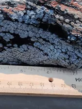 Hugh Snowflake Obsidian Rough for slabbing, or knapping 13.80 Pounds