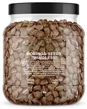 1600 Moringa Oleifera Seeds 1 lb. Bulk Jar WINGLESS Fresh Semillas de Moringa