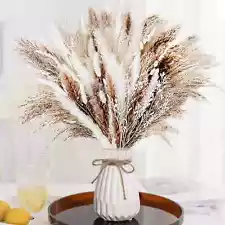 Grass Decor Home Decor Bouquet Natural Fluffy Dried Flowers for Wedding Floral