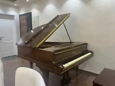 Rare 1930 Pleyel Baby Grand Piano In Pristine Original Condition.