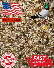 Bag Of Pigeon Seeds Wild Birds Food Great For Feeding 7 Type Of Grains…