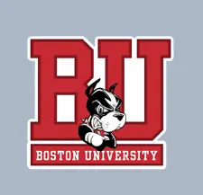 Car Magnet - Boston University Terriers - NCAA College Football - MAGNET