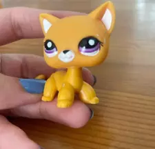 Authentic Littlest Pet Shop (LPS) - Shorthair Cat 2433 from Wave 5 Blind Bags