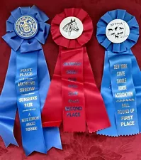 VTG LOT 3: 2 BLUE 1 RED HORSE SHOW RIBBONS NYS SADDLE & SACANDAGA SUNSHINE FAIR