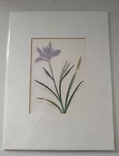 Sally Owens Ansel Adams Galley Wild Iris Print 9x12 Matted Wildflower