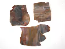 Three Thin Cut Slabs of Petrified Wood for Lapidary or Crafts