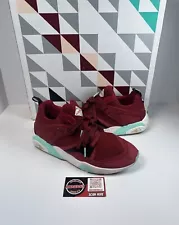 Size 10 - PUMA Packer Shoes x Sneaker Freaker x Blaze of Glory Jaws SPECIAL BOX!