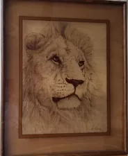 Rare Large Dennis Curry Art Print on Etched Glass - 1976 African Lion 24x30